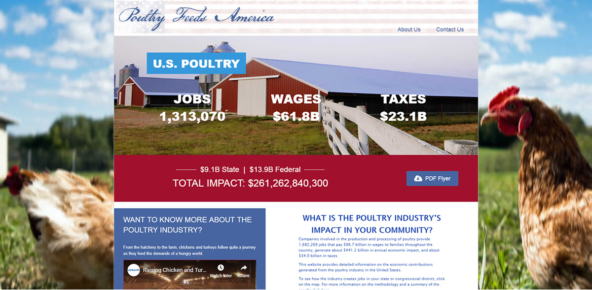 These 3 States Are Feeding America The Ultimate Poultry Guide - djpygx4